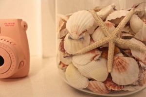 IMG_0462-1024x682